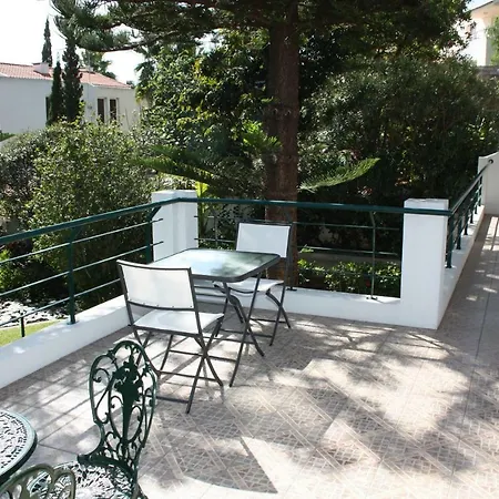 Echium Villa *