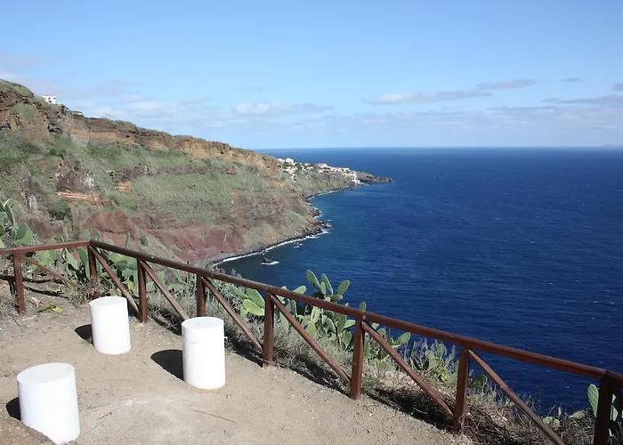 Echium Villa Caniço