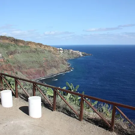 Echium Villa Canico (Madeira)