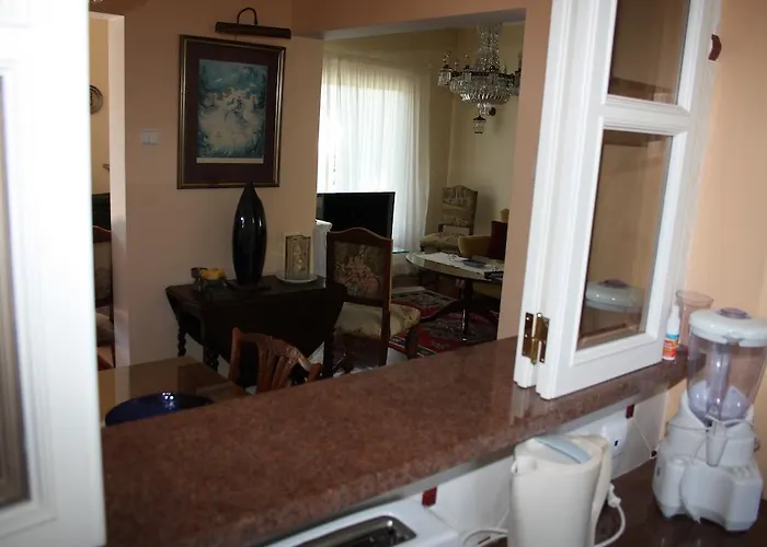 别墅 蓝蓟别墅酒店 *