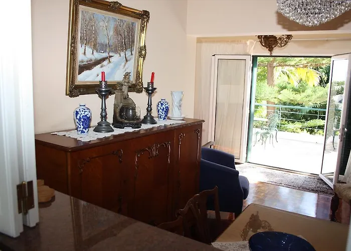 别墅 蓝蓟别墅酒店 *